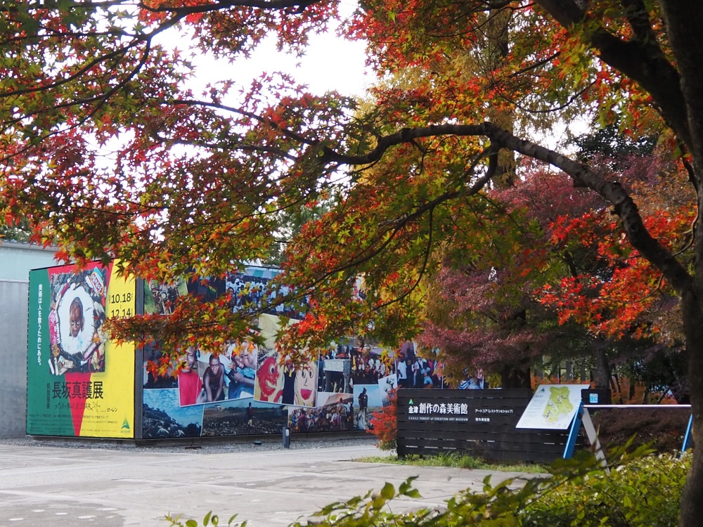 「金津創作の森美術館」イベント情報!色づく森とともに、心あたたまる福井の晩秋おでかけ案内