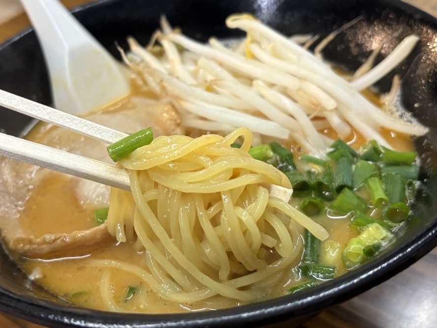 【福井県】背徳感マシマシ「屋台ラーメン」特集【北陸新幹線最終駅 敦賀】