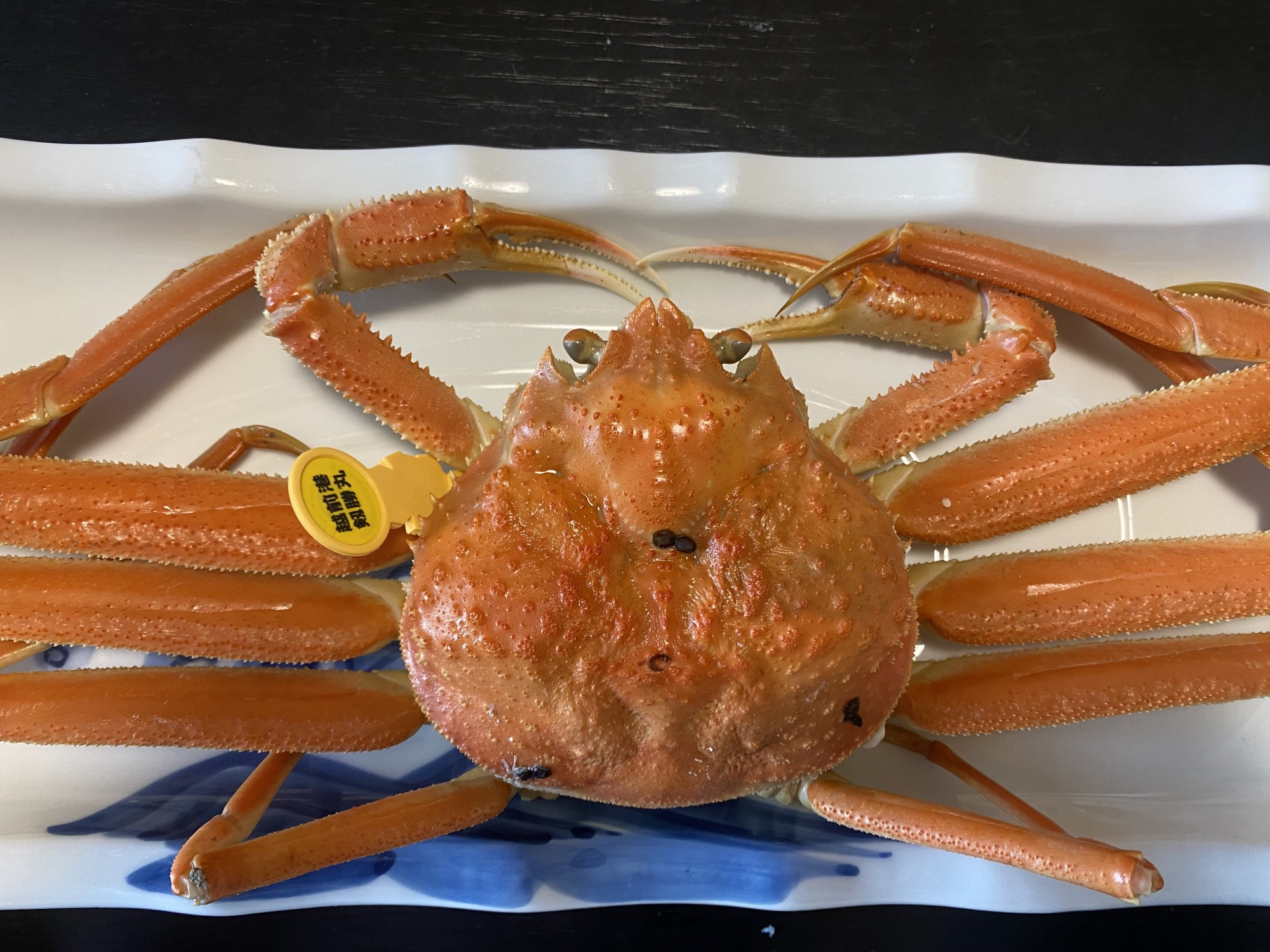 越前がにを食べるなら、やっぱり聖地「越前町」で！「越前温泉 平成」で味わう海音と神業のフルコース蟹ランチ