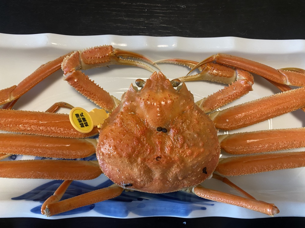 越前がにを食べるなら、やっぱり聖地「越前町」で！「越前温泉 平成」で味わう海音と神業のフルコース蟹ランチ