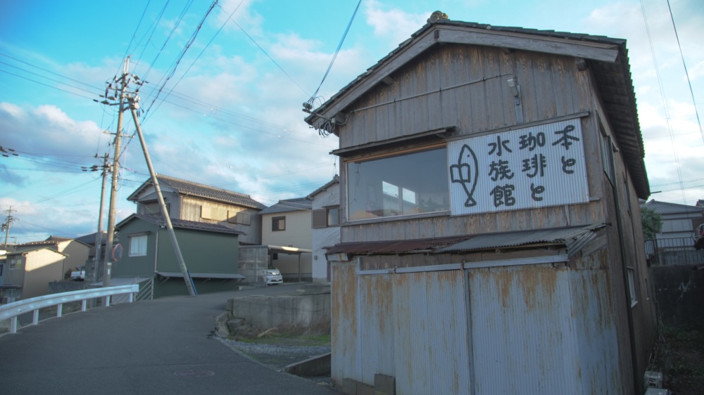 【本と珈琲と水族館】高浜初？！無人水族館が誕生！