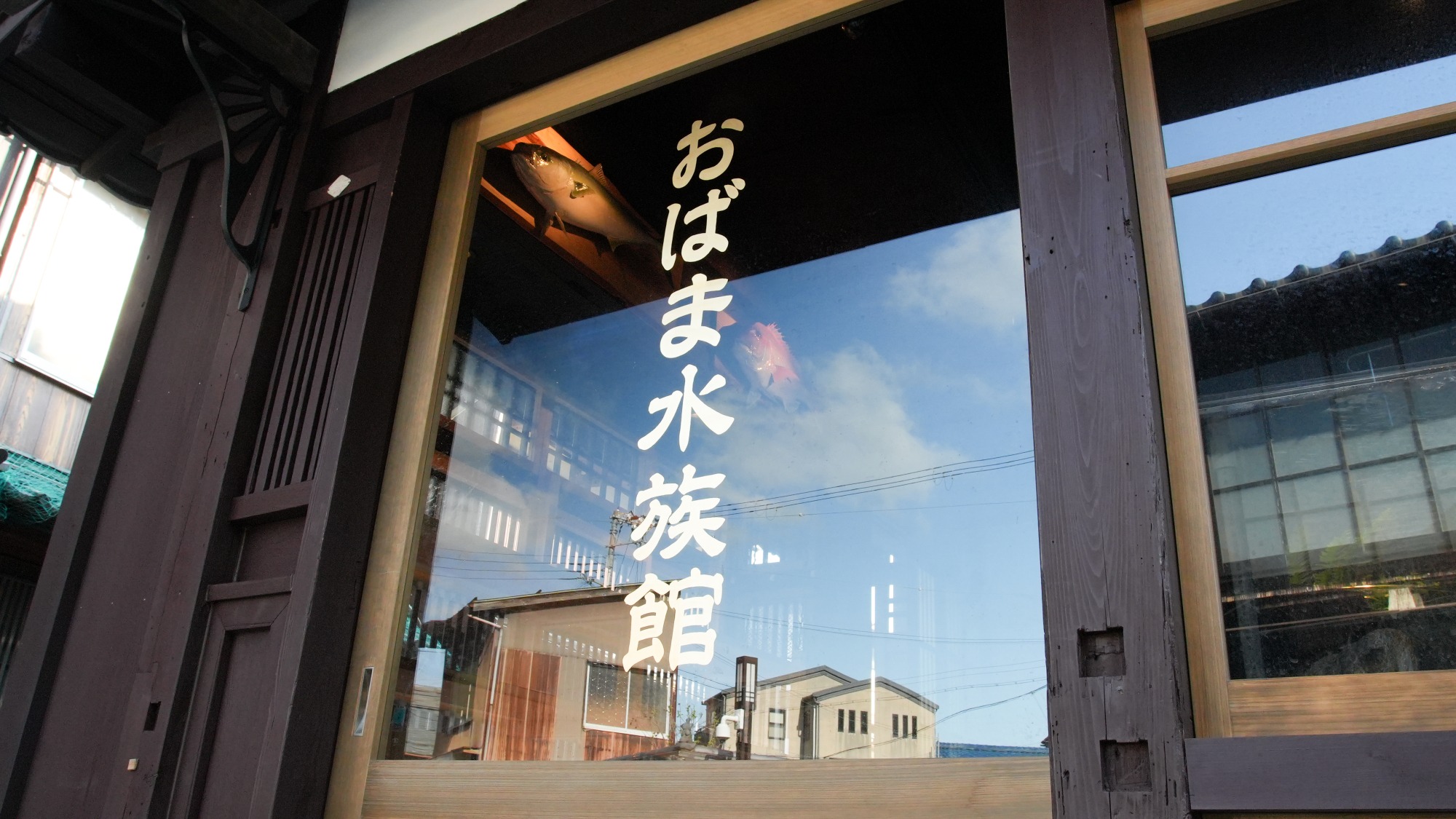 小浜の町に新たに誕生！「おばま水族館」