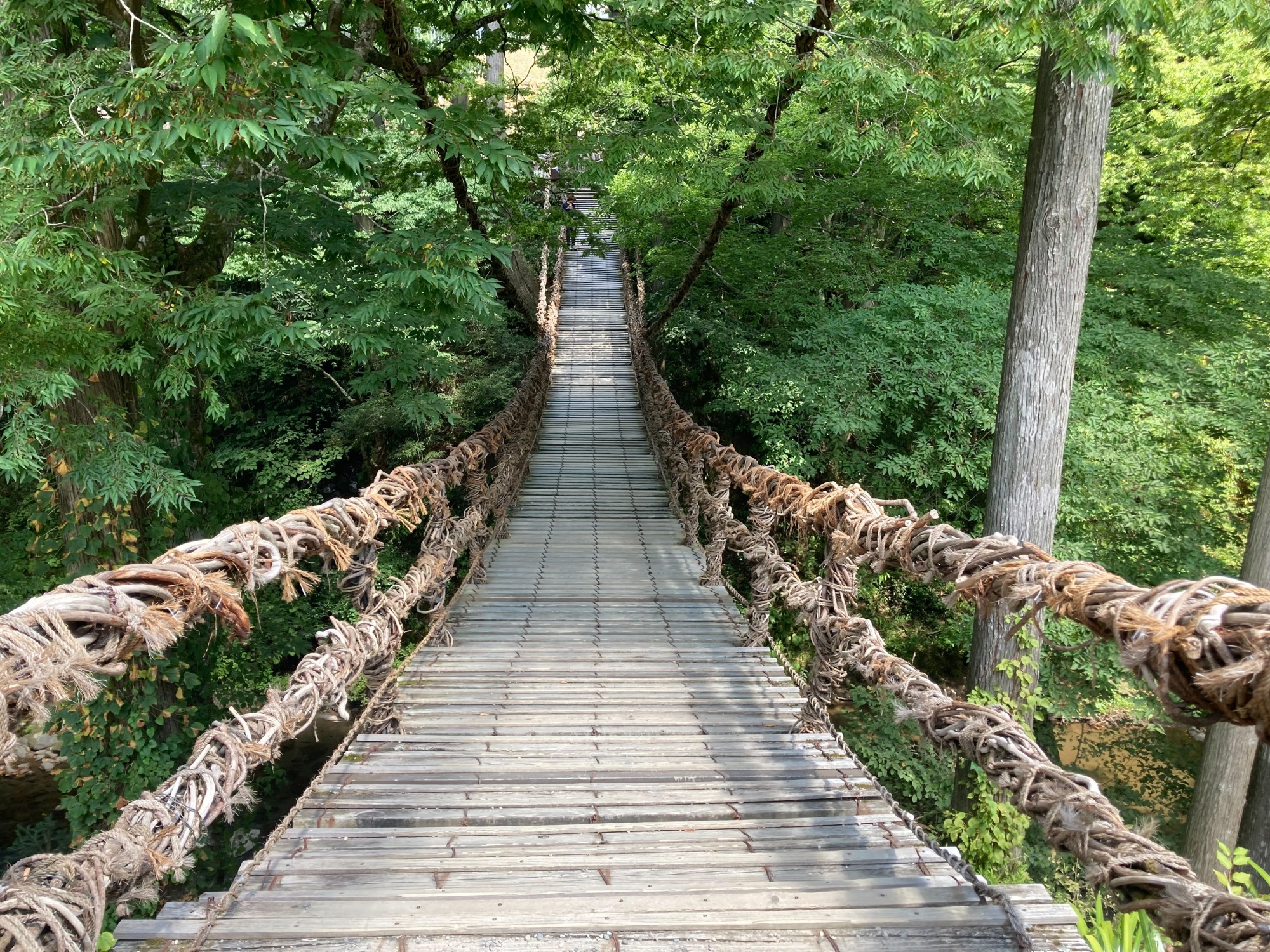 「かずら橋」は渡るだけじゃもったいない！池田町グルメ5選と遊歩道ウォーキング！