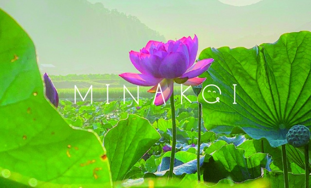 一般社団法人南越前町観光連盟