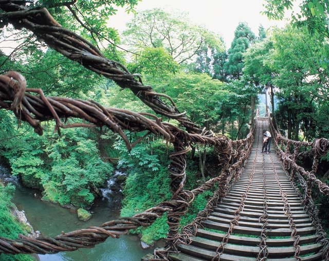自然の中で思いっきり遊ぶ！日本最大級のメガジップラインとそば打ち体験プラン（日帰り）