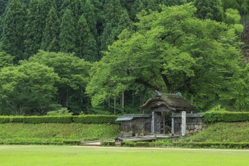 福井が誇る一乗谷朝倉氏遺跡と大本山永平寺をめぐる、歴史の旅