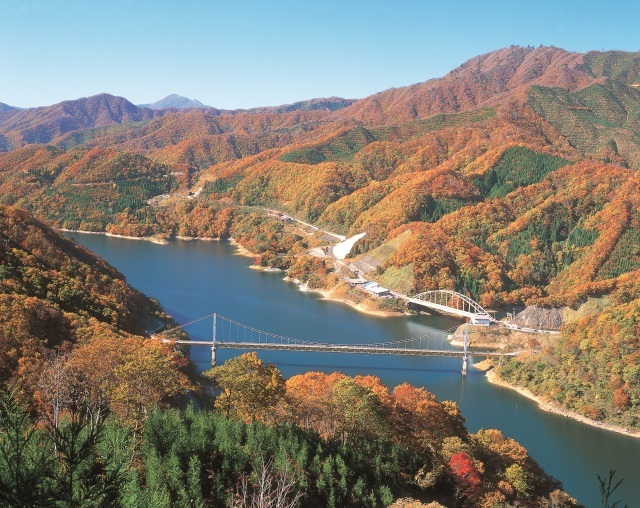 秋に楽しむ！福井県の絶景紅葉めぐりツアー（日帰り）