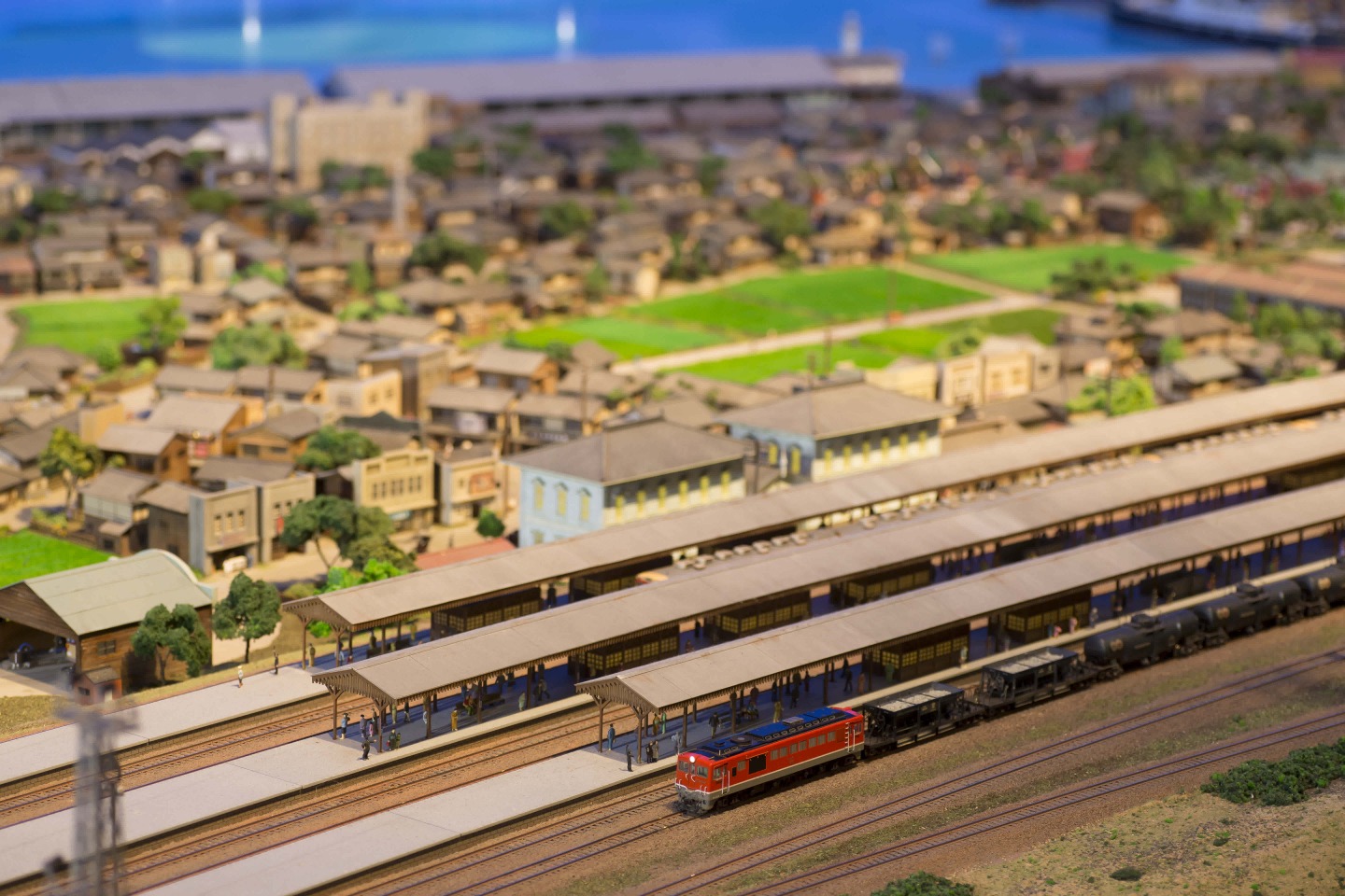 敦賀的過去和現在