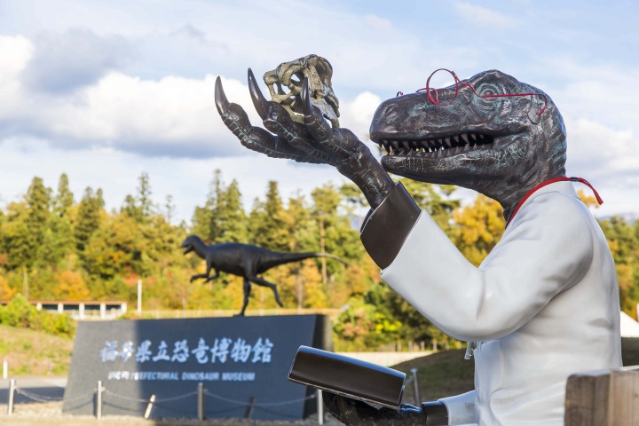 Fukui : Point fort d’un voyage dans le Hokuriku