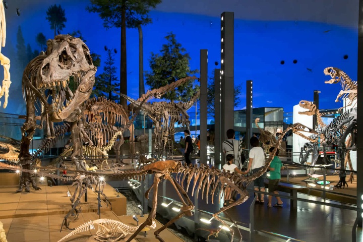 Redécouvrir le passé à Fukui : spiritualité et dinosaures