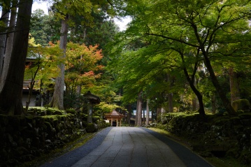 忙しい日々からちょっとはなれて。心と身体を整えるリトリート…