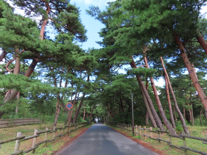 [ Undefined: coursed-title-nl2br ]