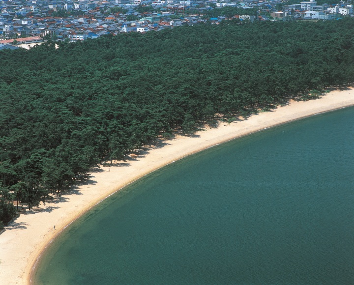 [ Undefined: coursed-title-nl2br ]