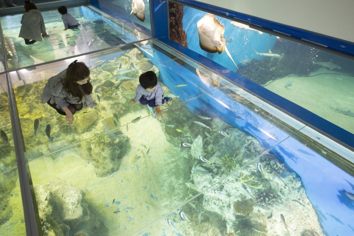 [ Undefined: coursed-title-nl2br ]