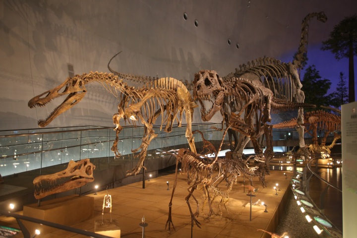 [ Undefined: coursed-title-nl2br ]