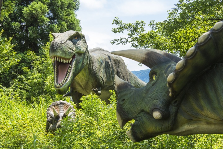 [ Undefined: coursed-title-nl2br ]