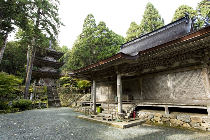 [ Undefined: coursed-title-nl2br ]