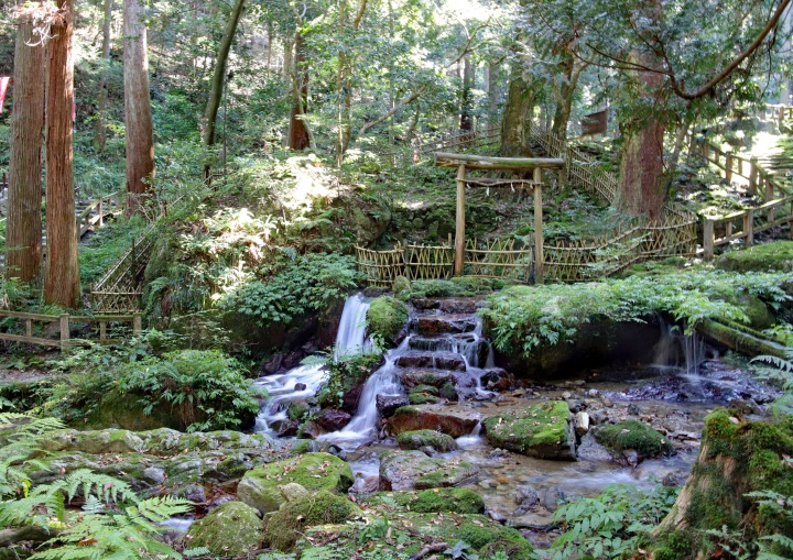 [ Undefined: coursed-title-nl2br ]