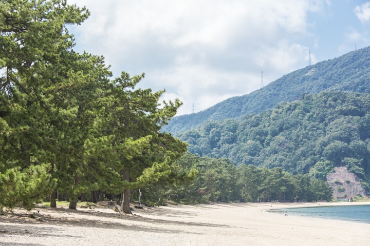 [ Undefined: coursed-title-nl2br ]