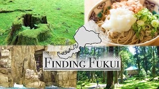 Finding Fukui / Tourist Spots in Fukui Prefecture ［(公社)福井県観光連盟］