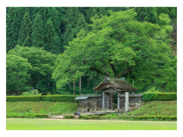 一乗谷朝倉氏遺跡