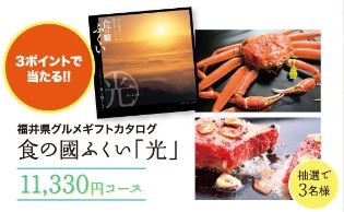 食の國ふくい「光」　11,330円コース