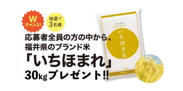 福井県ブランド米「いちほまれ」　　　　　30kg