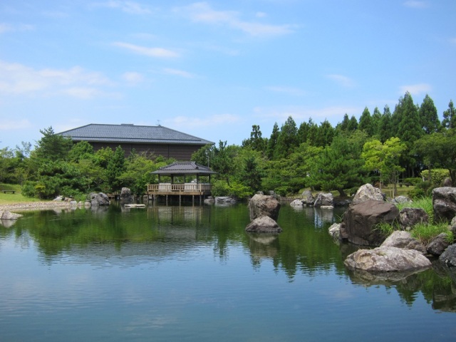 若狭の里公園のウメ（2月~3月）