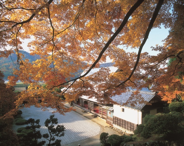 萬徳寺の紅葉（10月～11月）