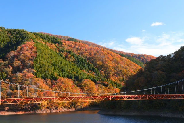 九頭竜湖の紅葉（10月～11月）