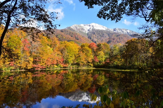 刈込池の紅葉（10月～11月）