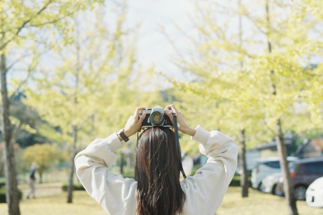 福井で紅葉散歩「ふくい健康の森」！イチョウ並木の絶景スポットを楽しもう