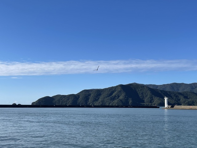 旧小浜港