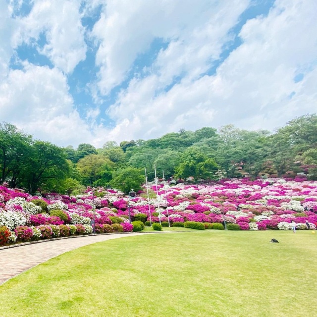 西山公園周辺 インスタ映え観光周遊モデル