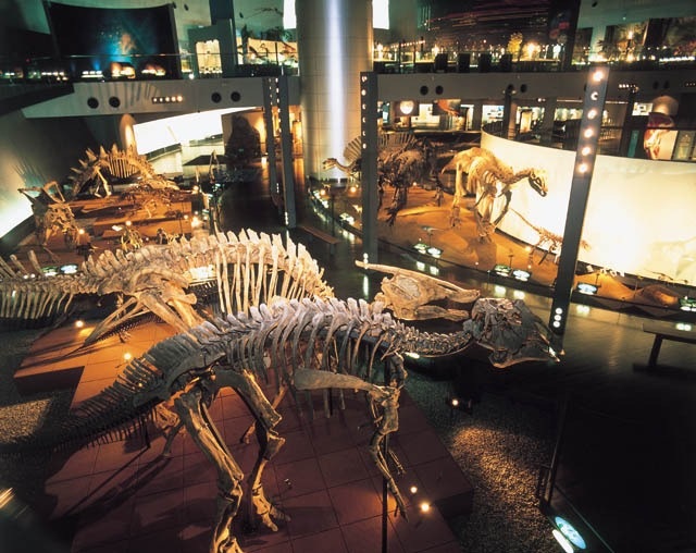 日本一の恐竜博物館と化石発掘体験・アイスクリームづくり体験プラン！