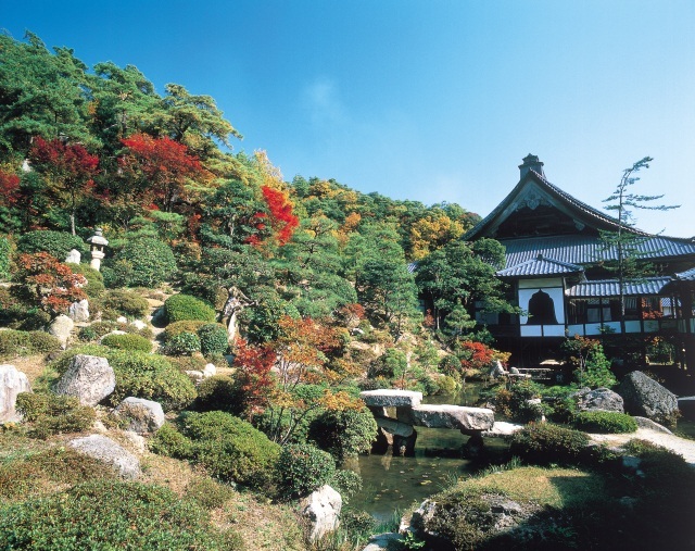 秋色に彩られた絶景庭園を満喫！紅葉の嶺南めぐり
