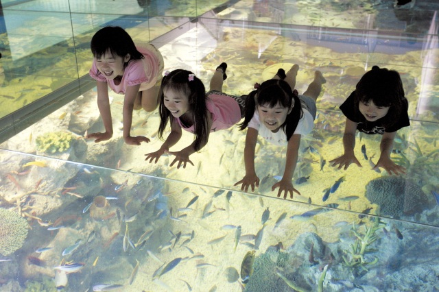  小さいお子様連れで楽しめる福井県内スポットをご紹介♪