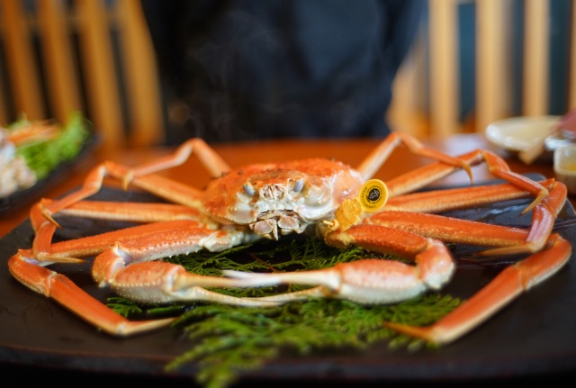 深海で蓄えられた、越前カニが放つ濃密な甘さとかにみそ酒に酔う(海の幸食処えちぜん/越前町)