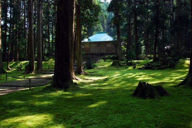 平泉寺白山神社御開帳記念！ 特別開放プランと雲海に浮かぶ越前大仏特別鑑賞の旅