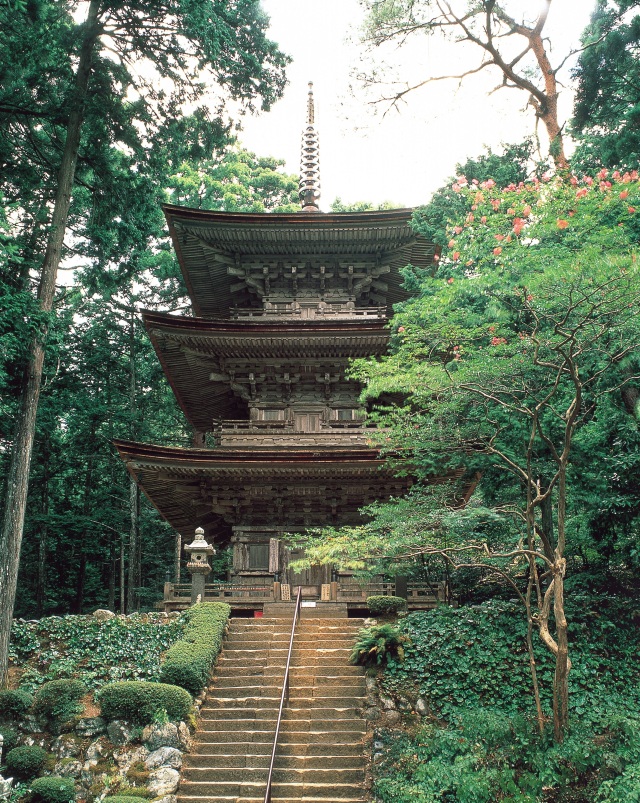 ふくいにある国の光を観る旅 ～福井県が誇る6つの国宝を訪ねる～