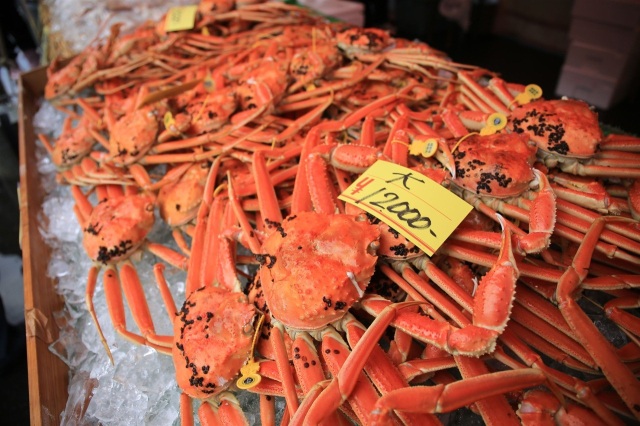 越前かにまつり・越前がに朝市2025【2025年11月15日(土)、16日(日)、22日(土)、23日(日)】