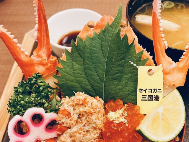 越前がに「せいこがに」を美味しく味わえる店４選！（東尋坊・三国温泉 / 福井駅前）