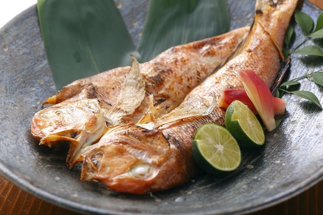 Le poisson-tuile rouge “Wakasa guji”