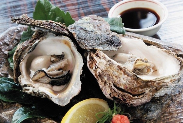 Les huîtres de roche de Wakasa