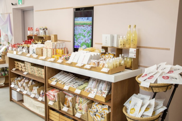 福井縣坂井市特產直營店