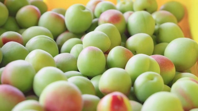 Fukui Ume (prunes séchés et salés)