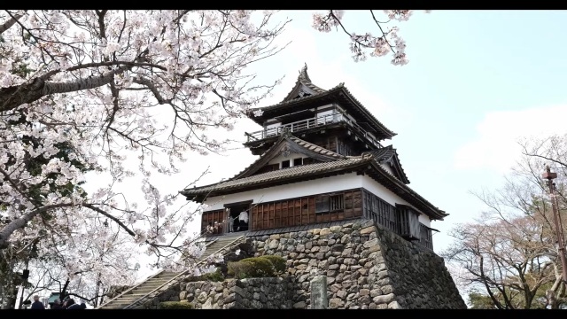 Voici Maruoka ! Une ville-château de sakura et de samurai | Fukui