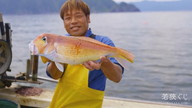 若狹方頭魚