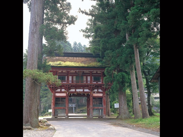 観光サステナビリティエキスパートと行く！受け継がれる技と祈りに触れる旅～小豆に願いを込めて～