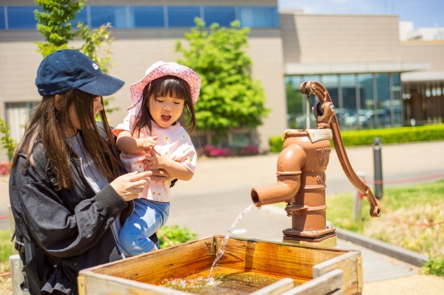 子連れで福井を楽しむなら「武生中央公園」!遊園地が1,000円遊び放題!?
